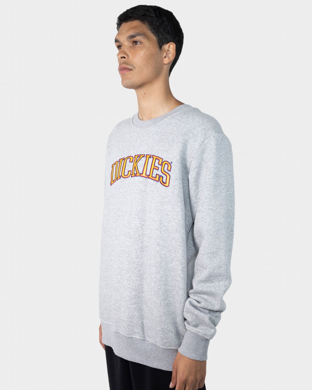 Dickies crew 2024 neck sweater